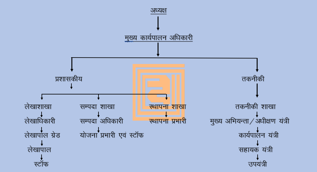 Organisational Structure